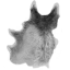 WolfPelt